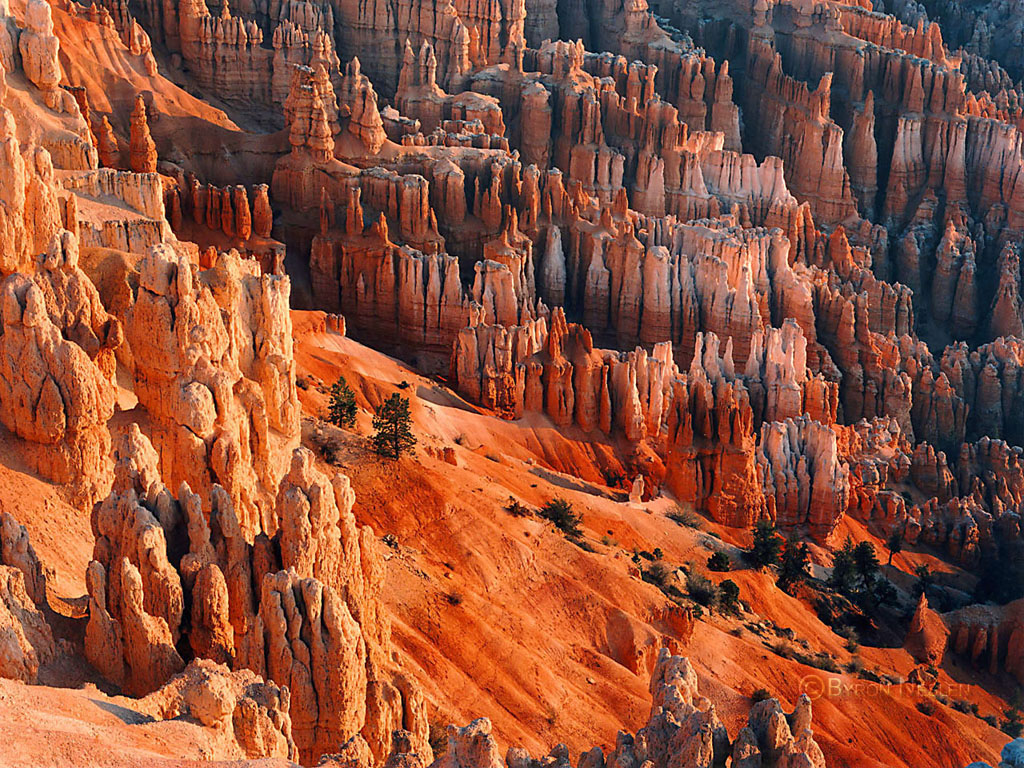 Bryce National Park