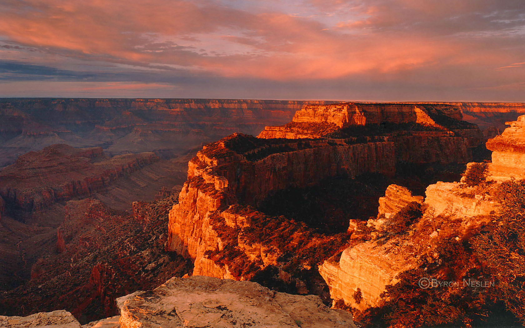 Cape Royal, 
North Rim Grand Canyon