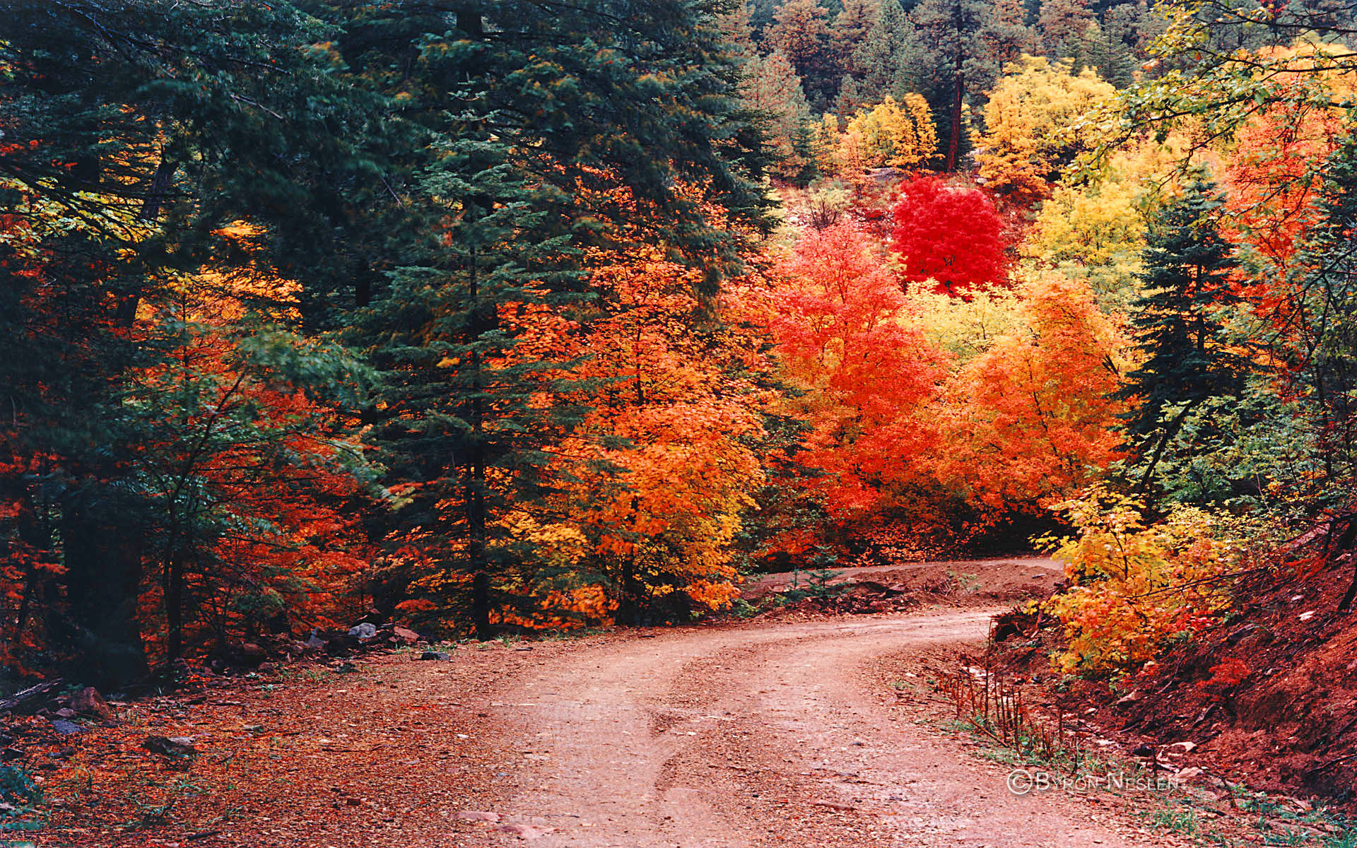 Mountain Road in Autumn