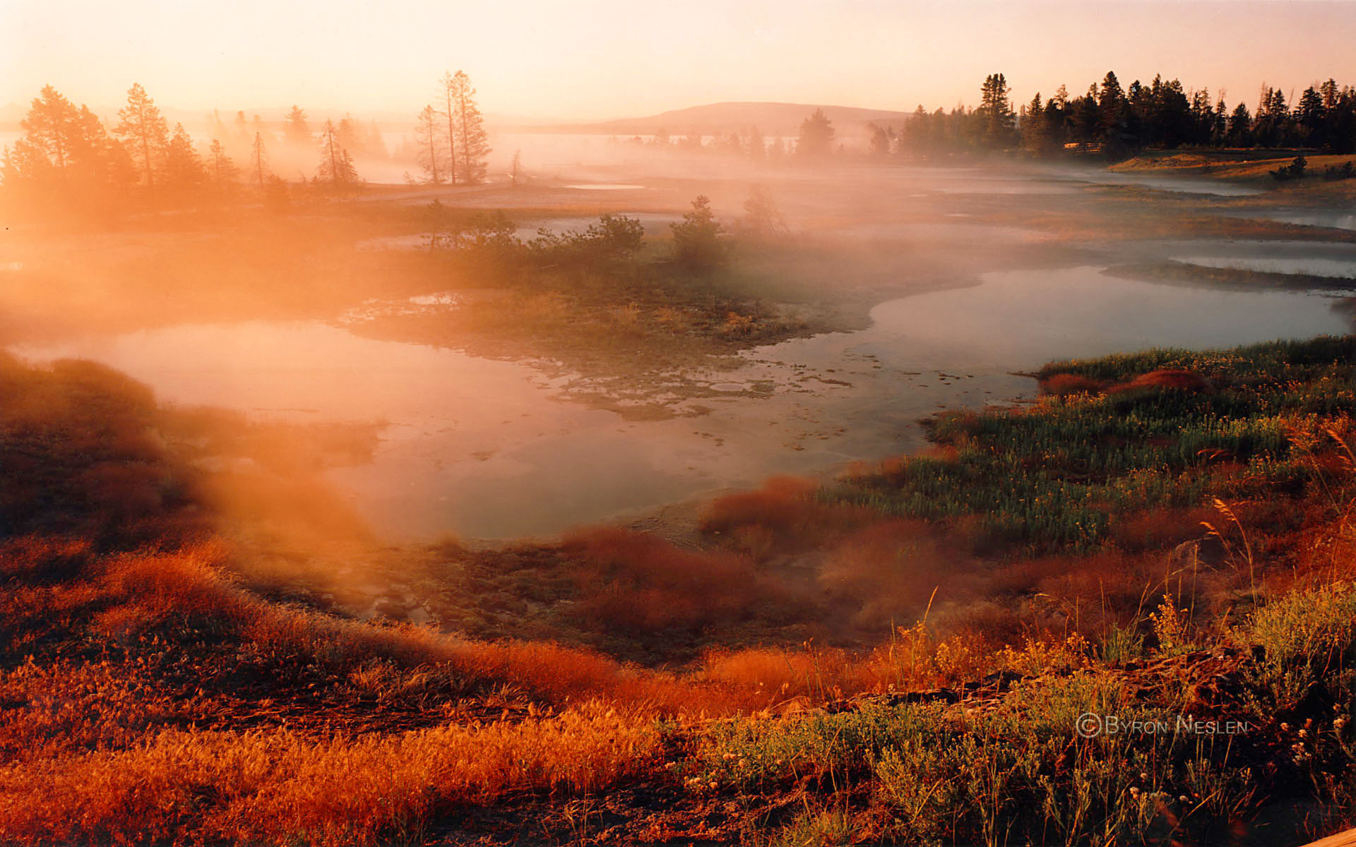 Yellowstone in Thumb Basin Area