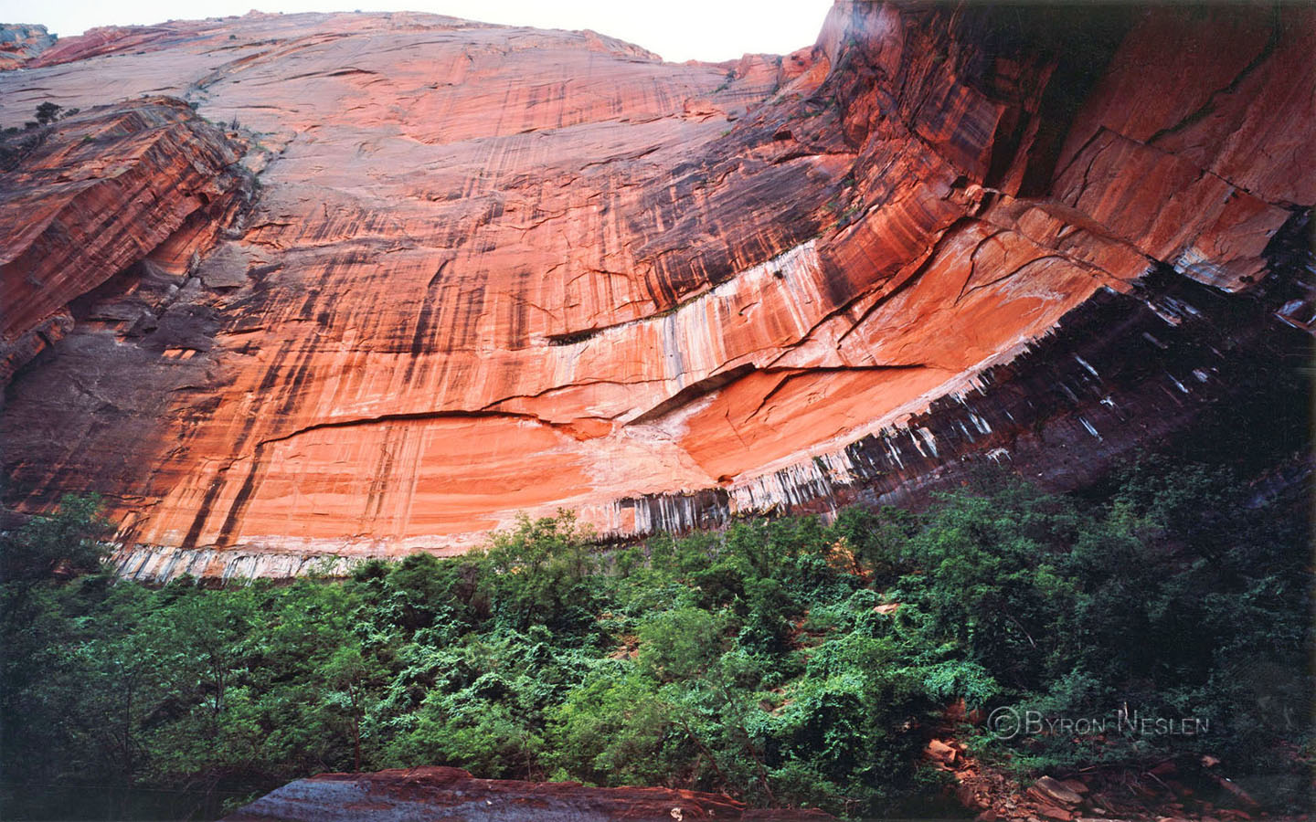 Zion National Park